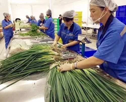 1665629839286091.jpg 3.jpg