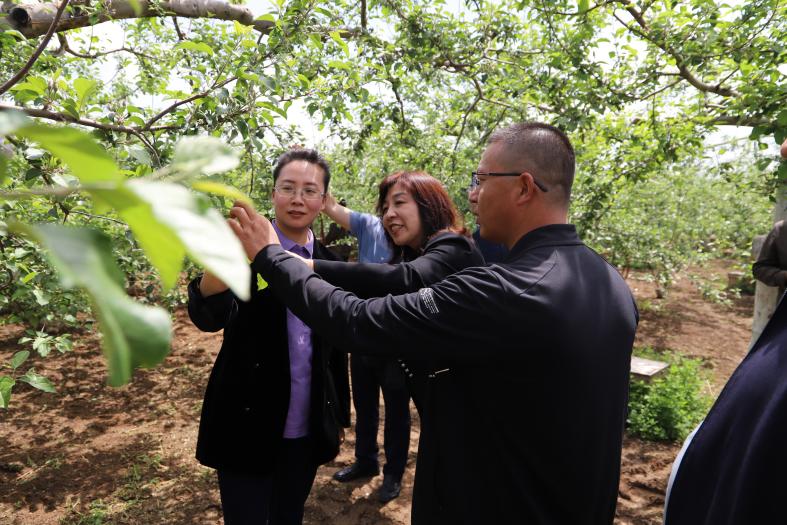 1684478983418723.jpg 微信图片_20230519144714.jpg